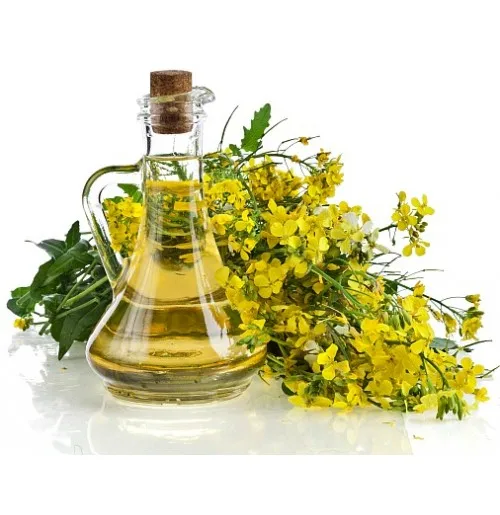 rapeseed oil4.jpg