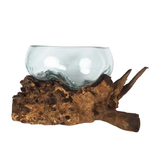 Molten Glass On Gamal Wood, Driftwood Terrarium,  Glass Bowl On Driftwood