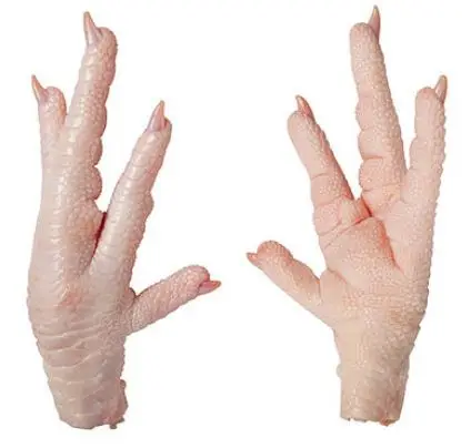 TOP SELLING FROZEN CHICKEN PAWS HIGH  QUALITY GRADE AA FROZEN CHICKEN PAWS FROM AL TAWAKAL FROZEN FOODS