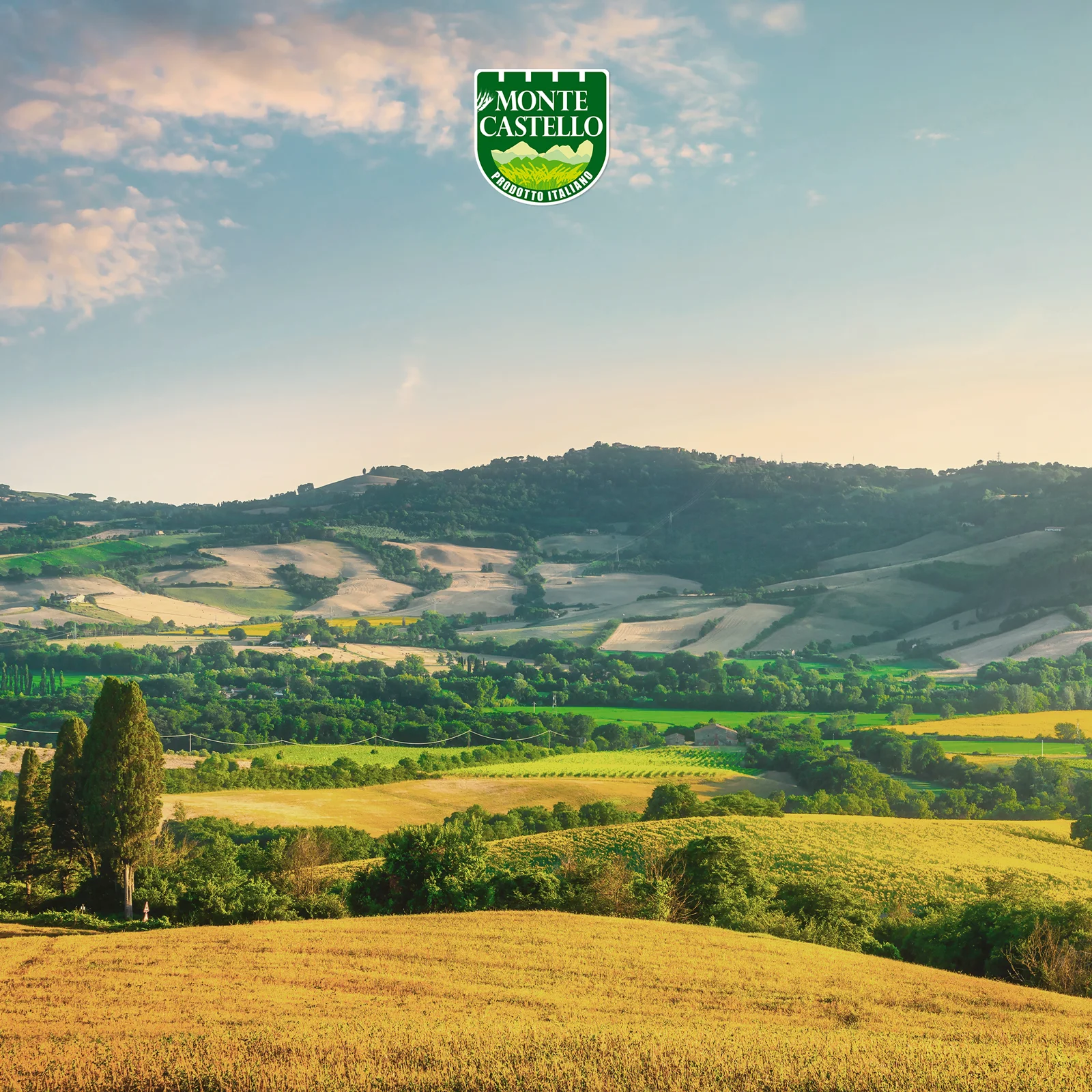 Итальянская мука для макаронных изделий хлеба и пиццы сельское хозяйство