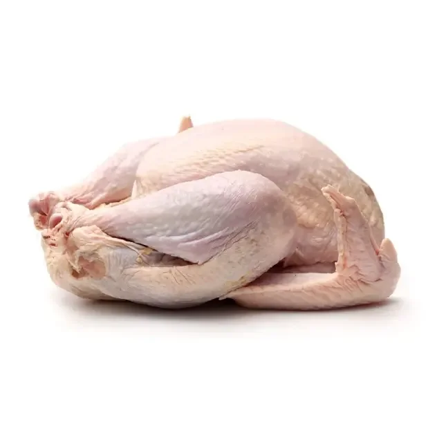 TOP QUALITY HALAL WHOLE FROZEN TURKEY | FROZEN PROCESSED FULL TURKEY / Frozen Turkey Mid-Wings