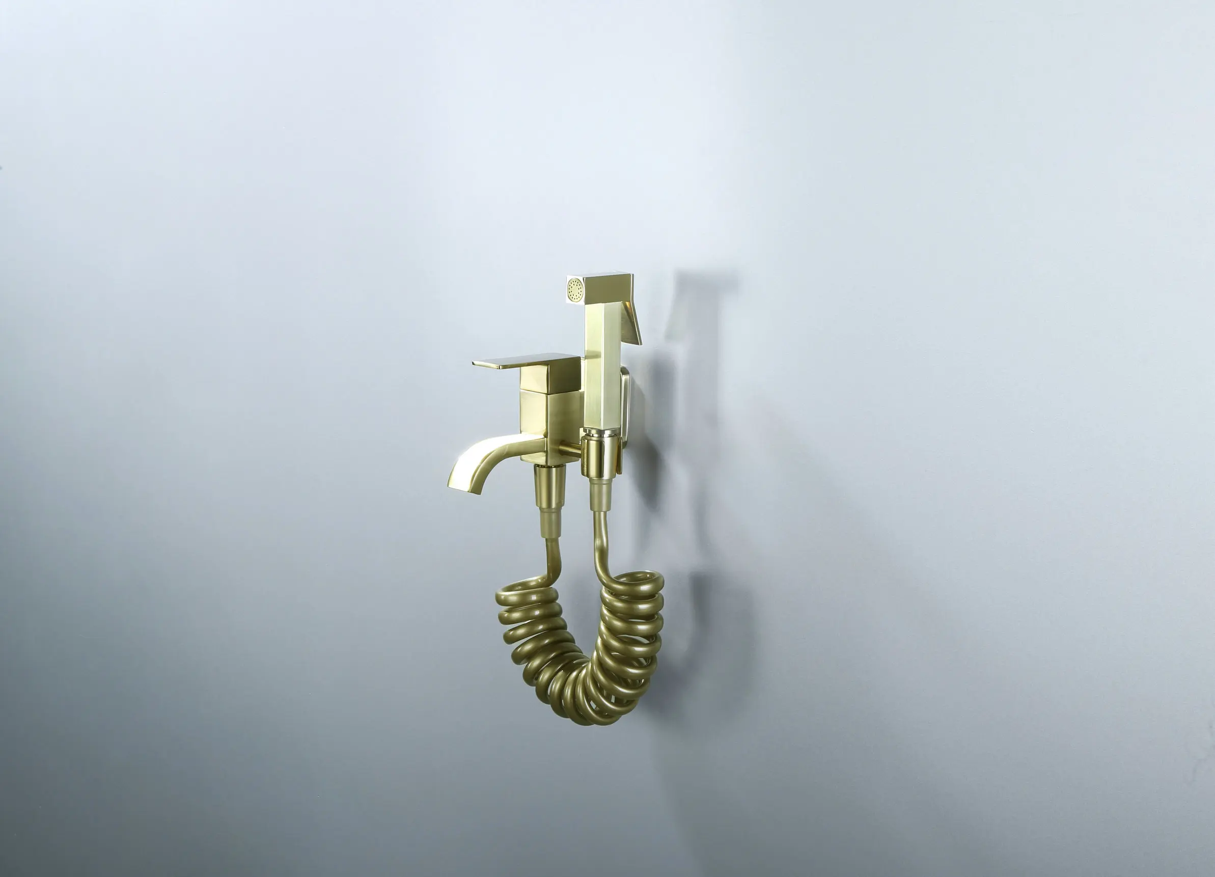 Brass Bidet Faucet Wall Mounted Toilet Faucet Shower with Handheld Sprayer Shower Chrome Shower Bidet