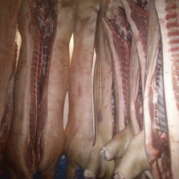 HIGH QUALITY FROZEN PORK PIG MEAT BODY CARCASS  BRAZIL ORIGIN
