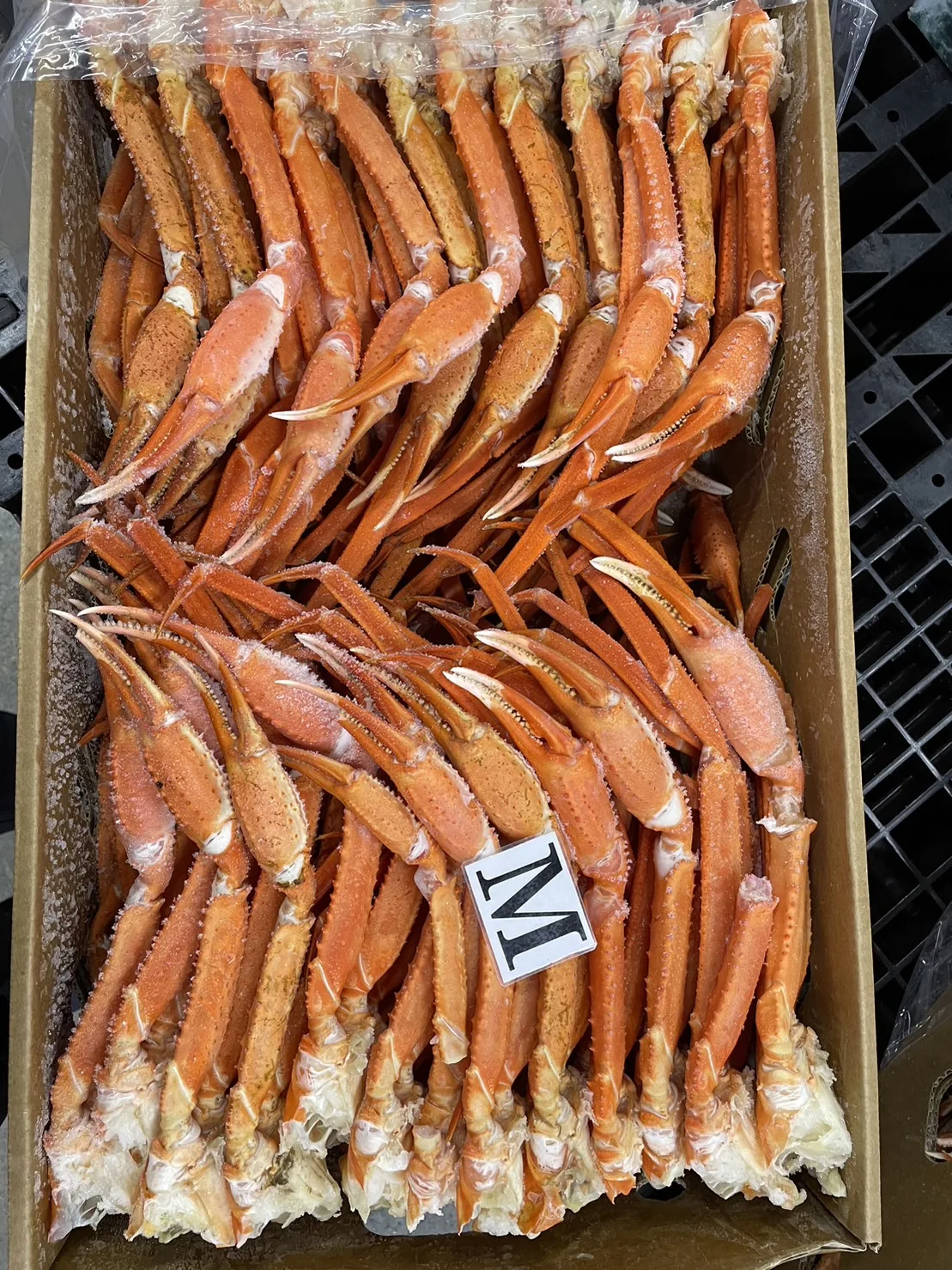 Bulk Boiled Snow Crab Merus Section