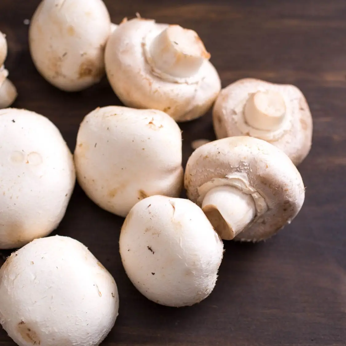Fresh Mushroom from South Africa Market  in competitive price for bulk quantity upto 10 ton