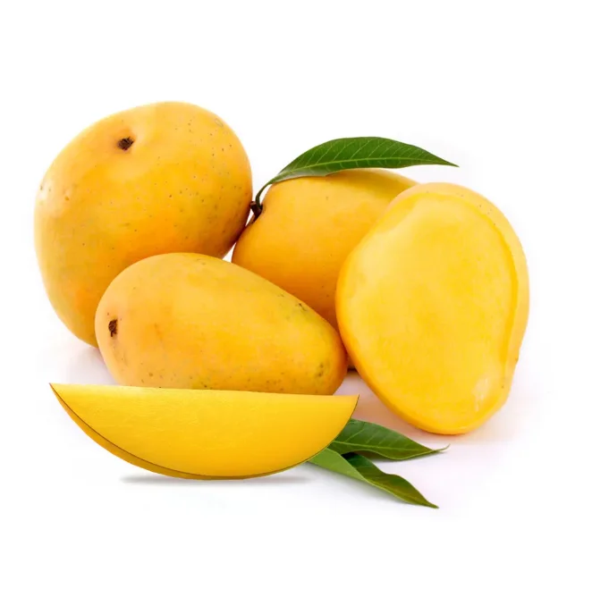 Mango Fresh Yellow and Green Delicious Taste Premium Quality With Customized Packaging Logo Discounted Price