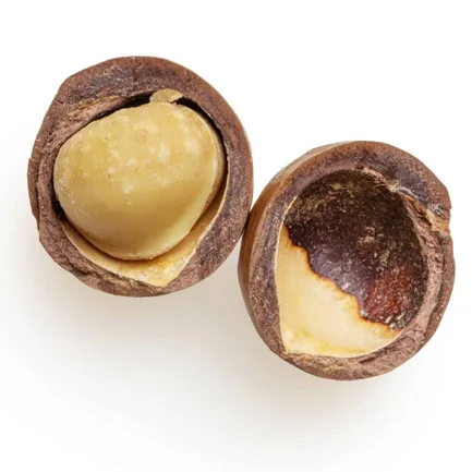 Raw Healthy Food 5kg Bag Dried Roasted Macadamia Nut From Factory for Export Nuts Sale