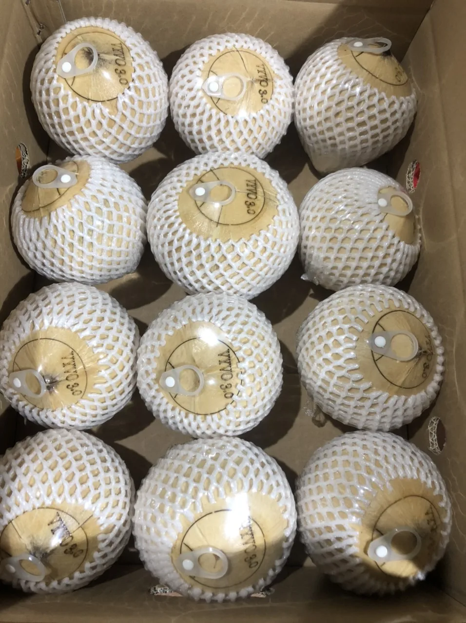 Wholesale Coconut Water Tropical High Quality Semi-Husked Siames Type Cheap Fresh Coconuts Vietnam Wholesale Whole Style