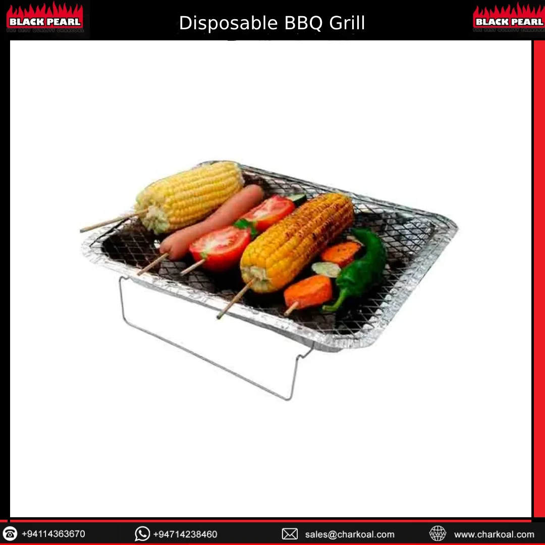 Eco-friendly 31cm * 25cm * 5 cm instant outdoor disposable barbecue picnic disposable small bbq grill