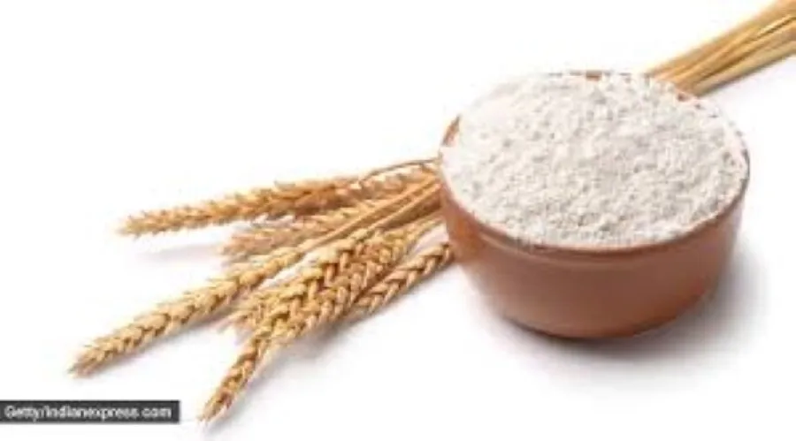 All Purpose Wheat Flour 25-50Kg Packaging /All Purpose wheat Flour for Sale in Bulk