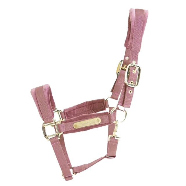 HALTERS NYLON PP FULL COB  SHETLAND SIZES ASSORTED COLORS NICKEL BRASS FITTINGS EQUESTRIAN HORSE RIDING
