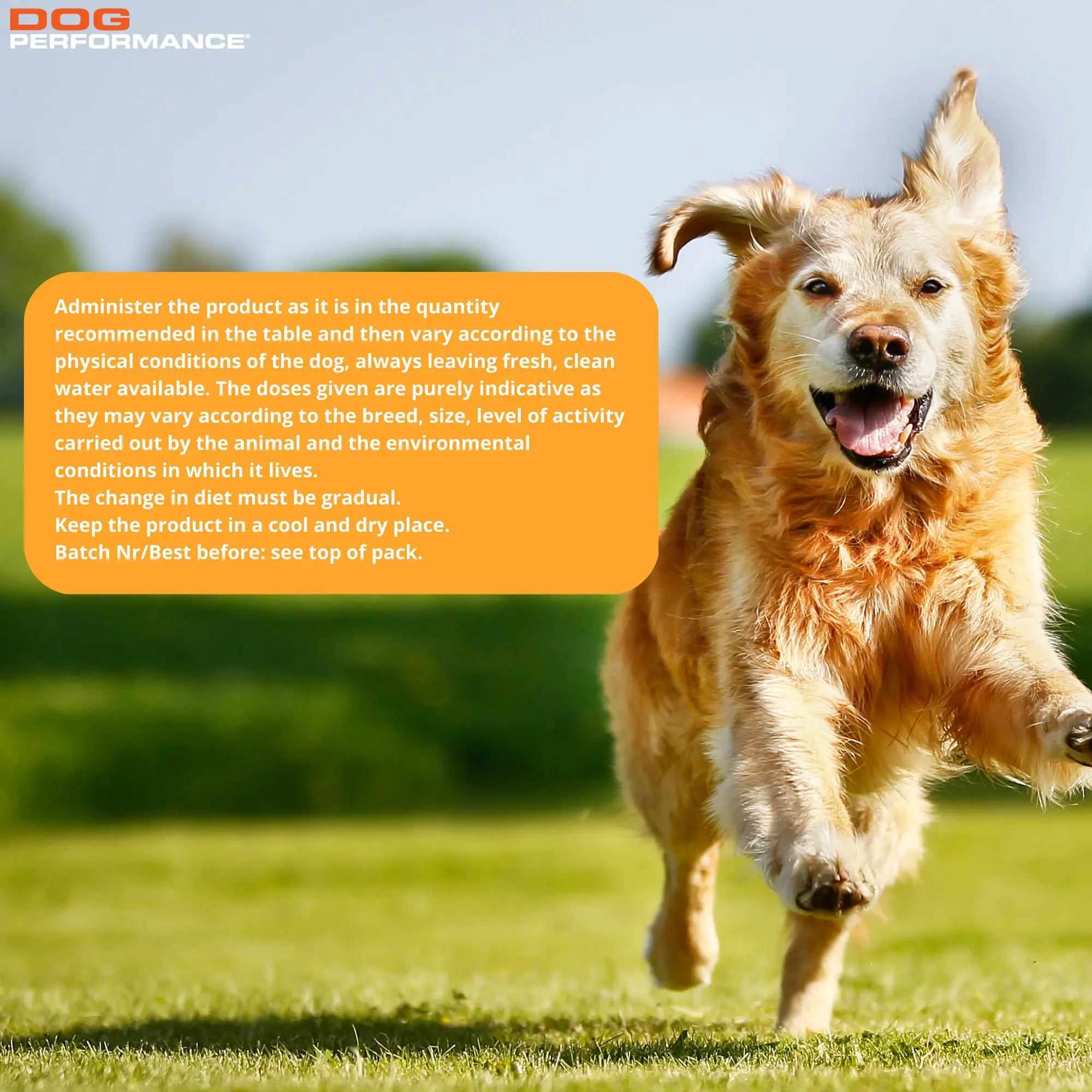 Optimal Nutrition Premium Chicken Rice Dry Food for Adults 15 kg Performance Meal for Daily Activities for Cats Packaged in Bag