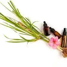 Vetiver Plant Extract Essential Oil Exports in Bulk
