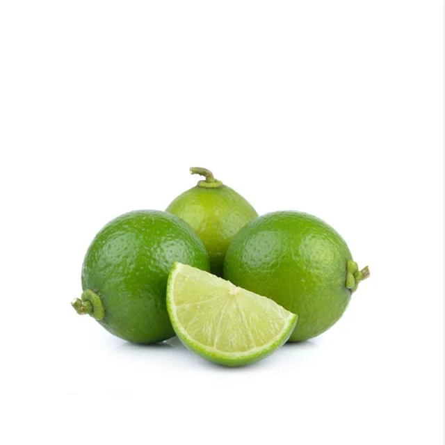 Lime seedless fresh seedless lime fresh green lemon high quality for exporting competitive price