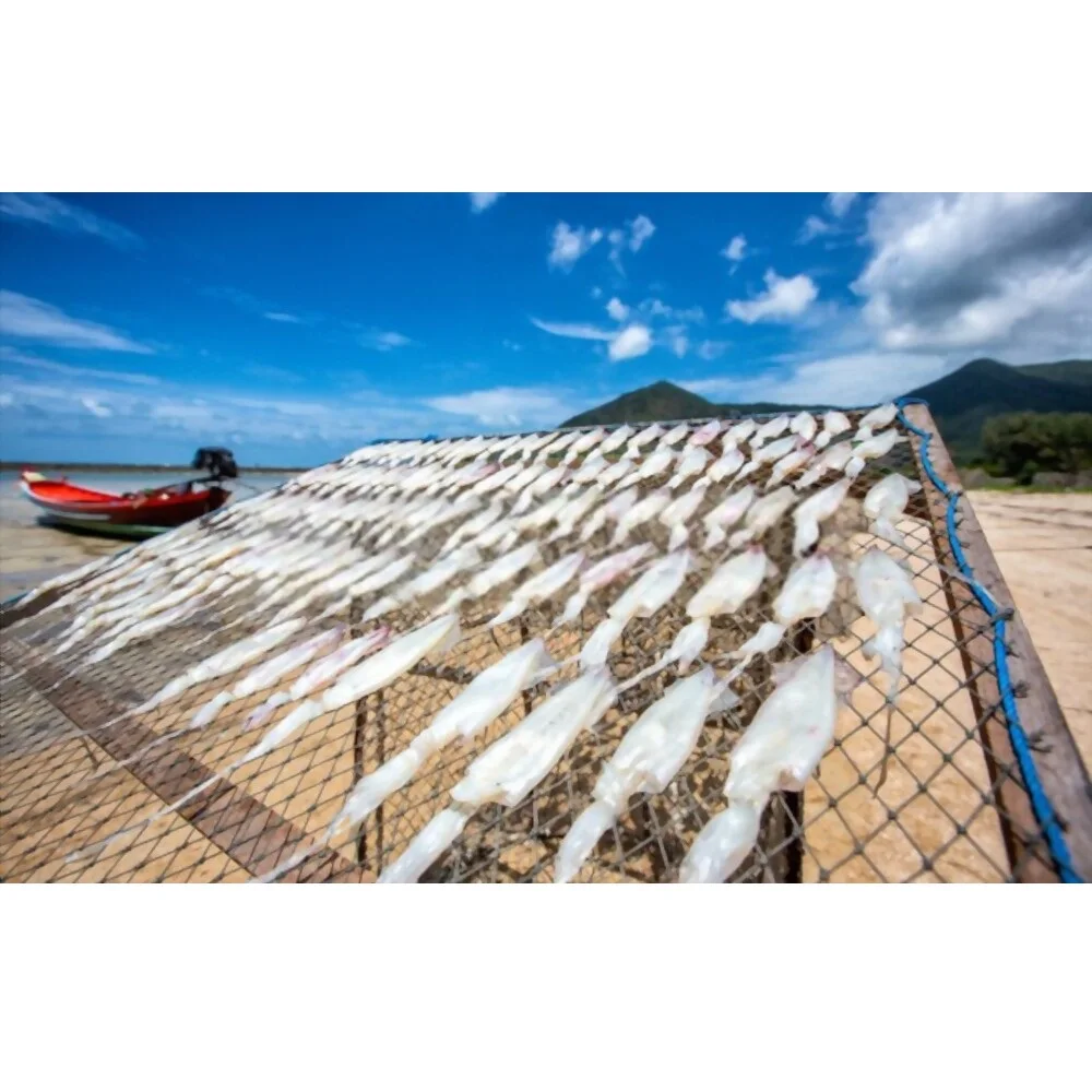 Factory Price Nutritious and Natural Dried Seafood Dried Squid Calamari  With Bulk Packaging From Vietnam