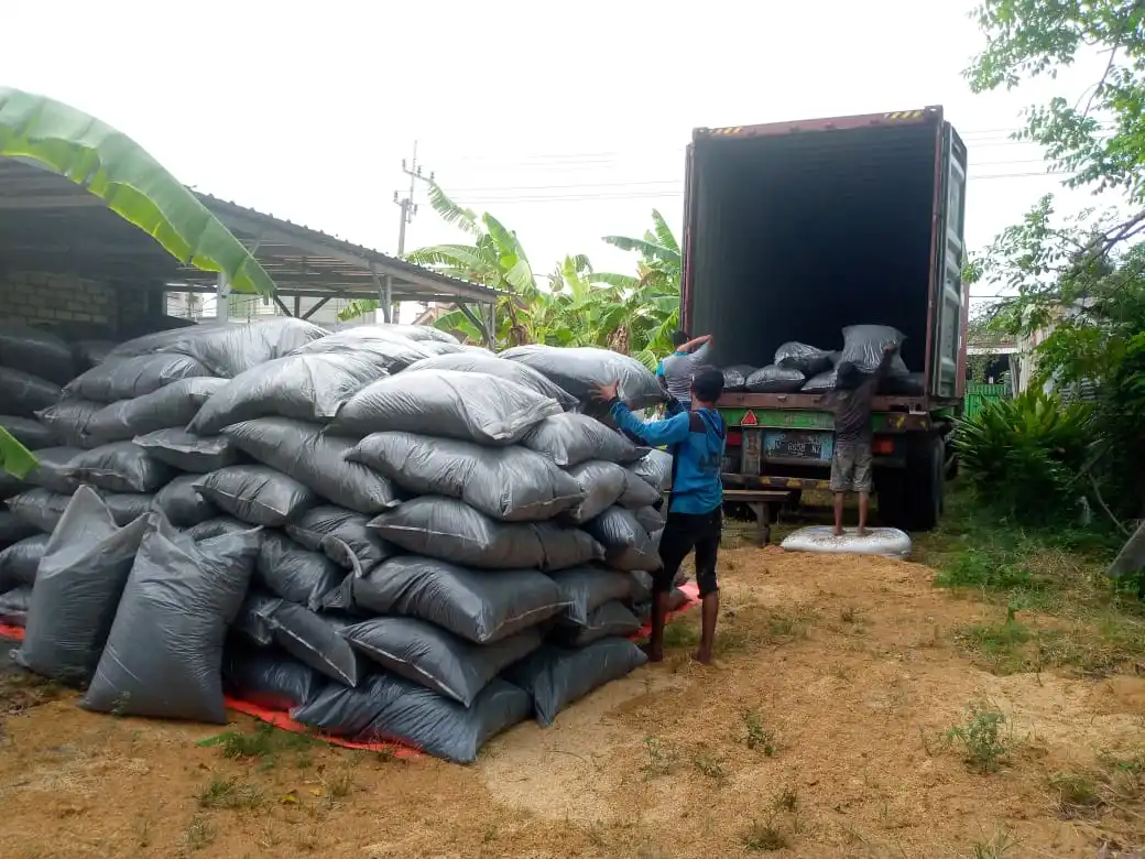 Carbonized rice husk