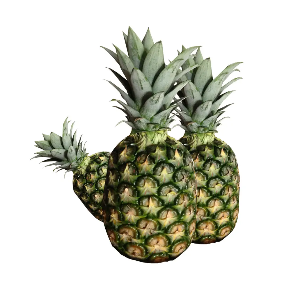 Оптовая продажа свежих ананасов/ананасов по цене/свежих ананасов