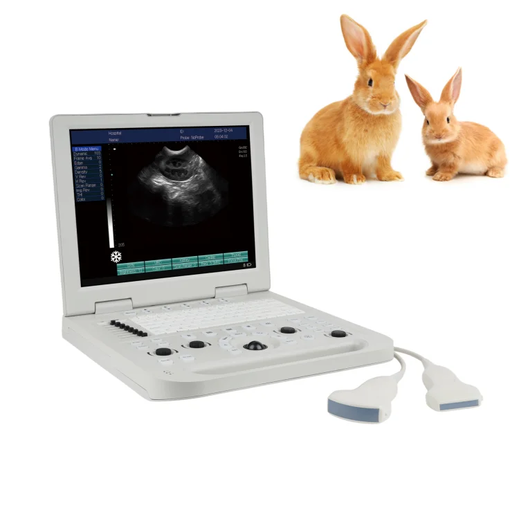 Laptop Veterinary Ultrasonic Portable Scanner 3.5MHz Convex Probe (For Pigs, Dogs, Cats, Rabbits, etc.) Made in China