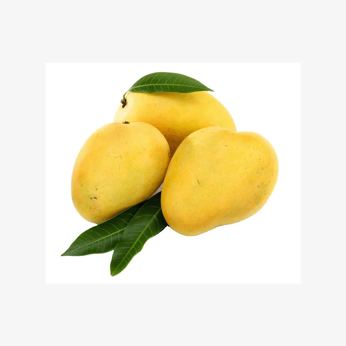 mango export Fresh mango