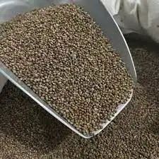 Оптовая продажа новые товары семена периллы