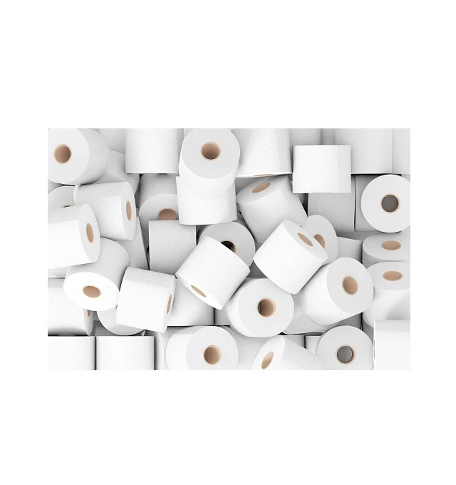Toilet Tissue Roll 2ply