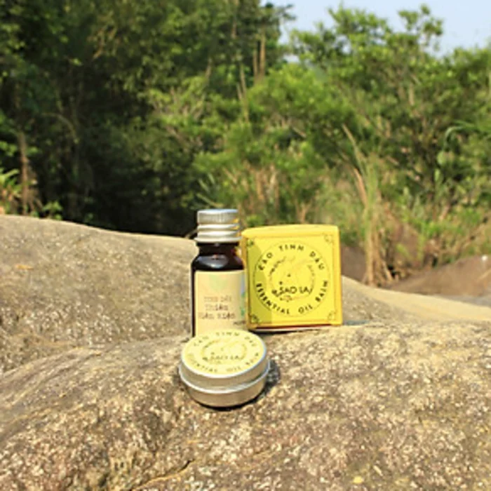 Top Grade Relieves Muscle Ache Oil Type 36 Months Shelf Life Saola Essential Oil Balm Export From Vietnam