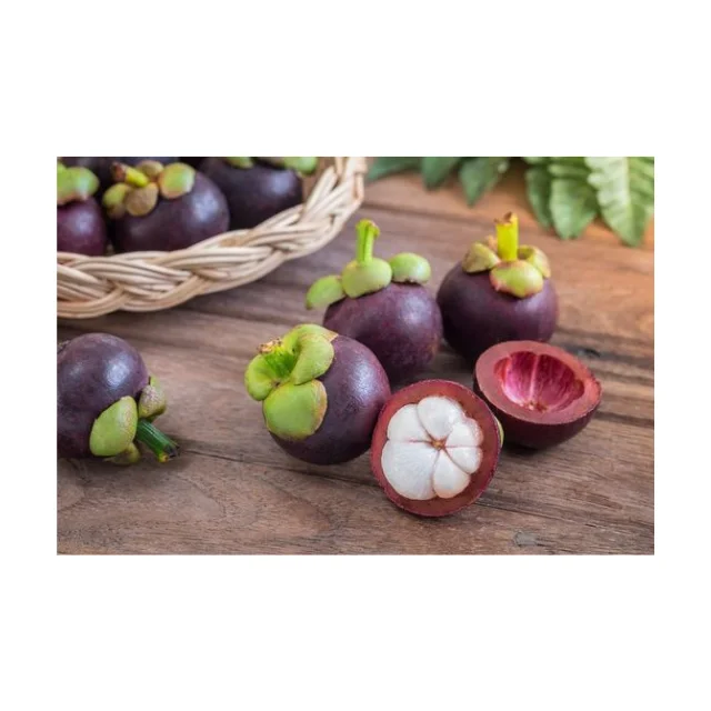 Fresh Mangosteen Thai  Fruit, New Fresh Arrival Extract, High Quality Tropical Fruits For Export
