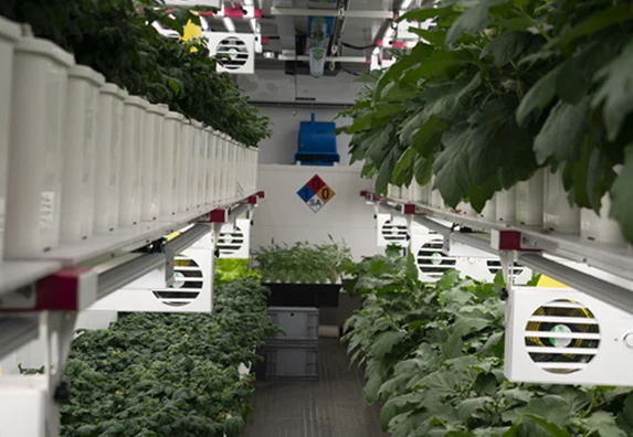 Indoor Aeroponics Systems Vertical Grow Tower Nft Channel Microgreen Growing System Hydroponics System Kit