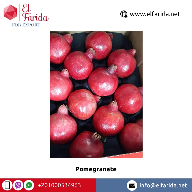 Superior Quality Bulk Sale 100% Natural Sweet Delicious Red Fresh Fruit Pomegranate at Wholesale Market Price