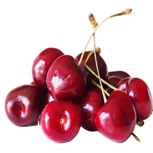 Oem Packing Dried Jujube Red Dates Fruit Red Dates Jujube Slices Herbal Tea