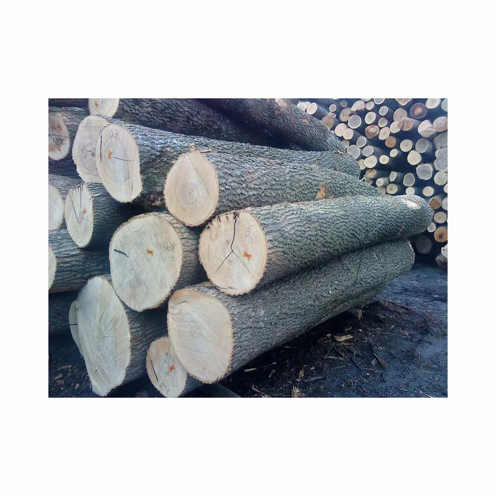Top Grade Cheap Maple Logs, Luan, Ayous wood, Walnut Fancy Wood Veneered Plywood Prices Maple, Luan Ash Walnut Ayous wood Log