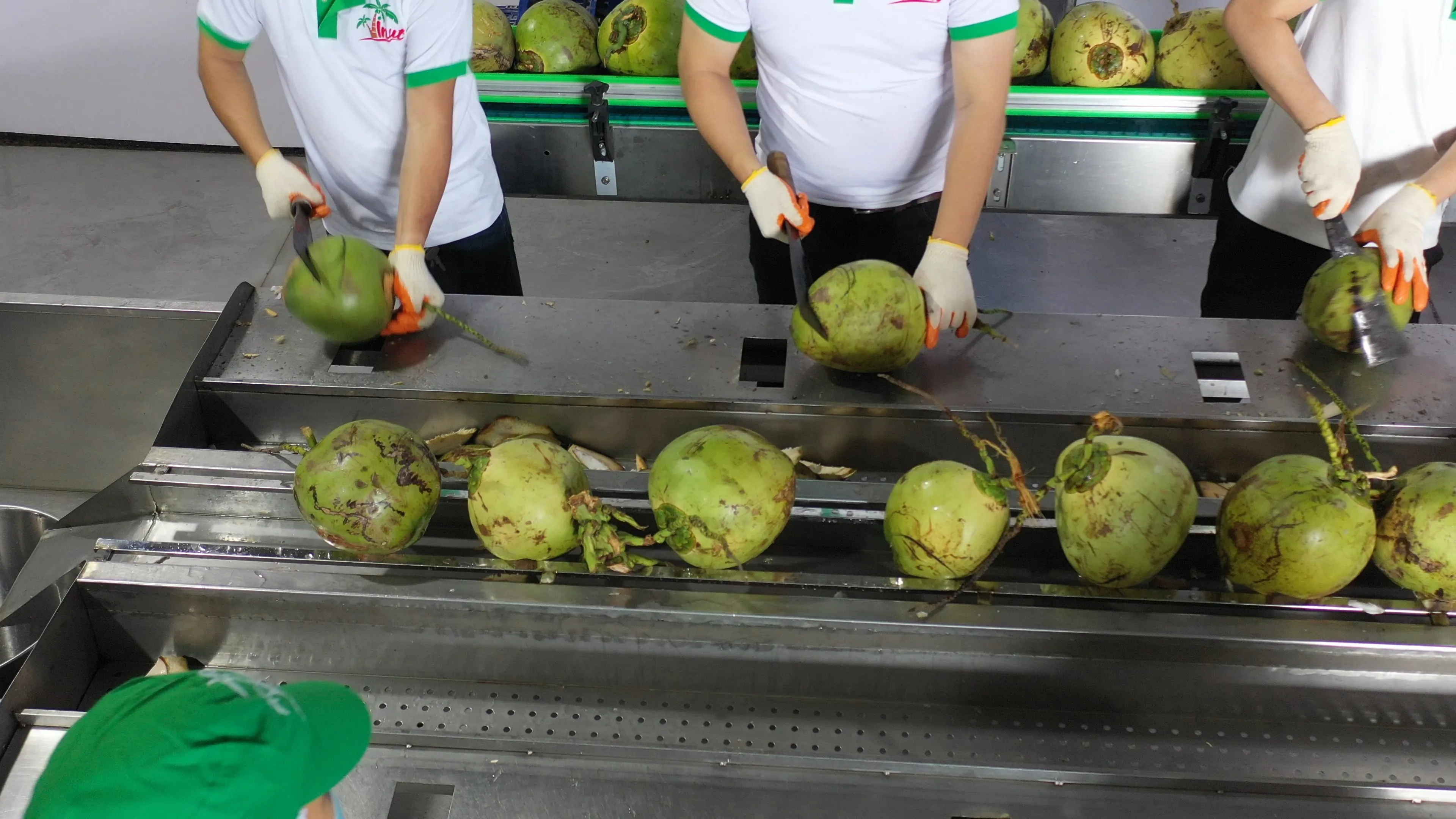 Coconut Milk hot sale 400ml Can Tin VINUT Coconut milk with 20-22% Fat Wholesale Price By VINUT Supplier