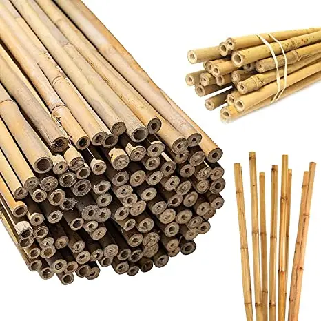Whole split Vietnam treated natural bamboo raw materials for construction and gardening bamboo poles stakes