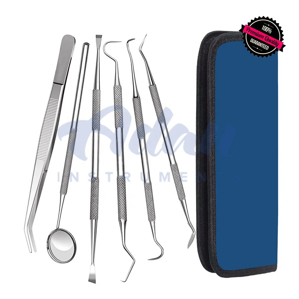 Wholesale Factory Prices 6 Pieces Dental Examination Kit of Dental Mirrors, Scalers, Forceps, scrapers in Carry Case