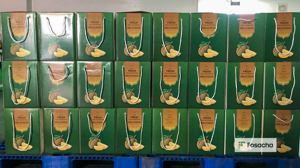 CUSTOMIZED BRAND RI6 DURIAN FOR EXPORT SO FRESH PREMIUM QUALITY FRESH WHOLE PIECE /FROZEN PULP DURIAN FRUIT MONTHONG CHEAP