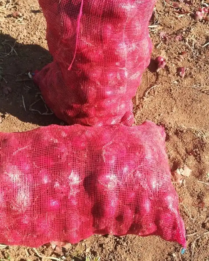 export quality red onion, fresh onion 5-7cm