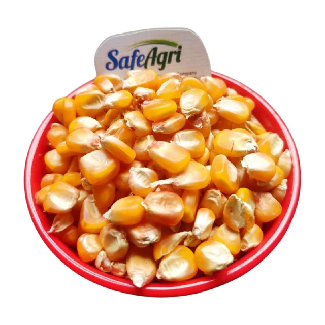 High Quality Yellow Corn from India 14% Max Moisture AD Dried Yellow Colour Premium Grade Maize for Animal Feed