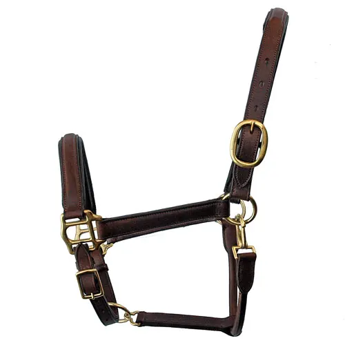 Horse Halters With Name Plate Comfortable & Adjustable Padded Leather Horse Halters With Name Plate