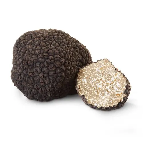 High Quality Whole Black Truffles Mushroom For Sale
