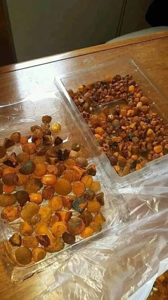 Желчные камни крупного рогатого скота коровьи желчные бычьи