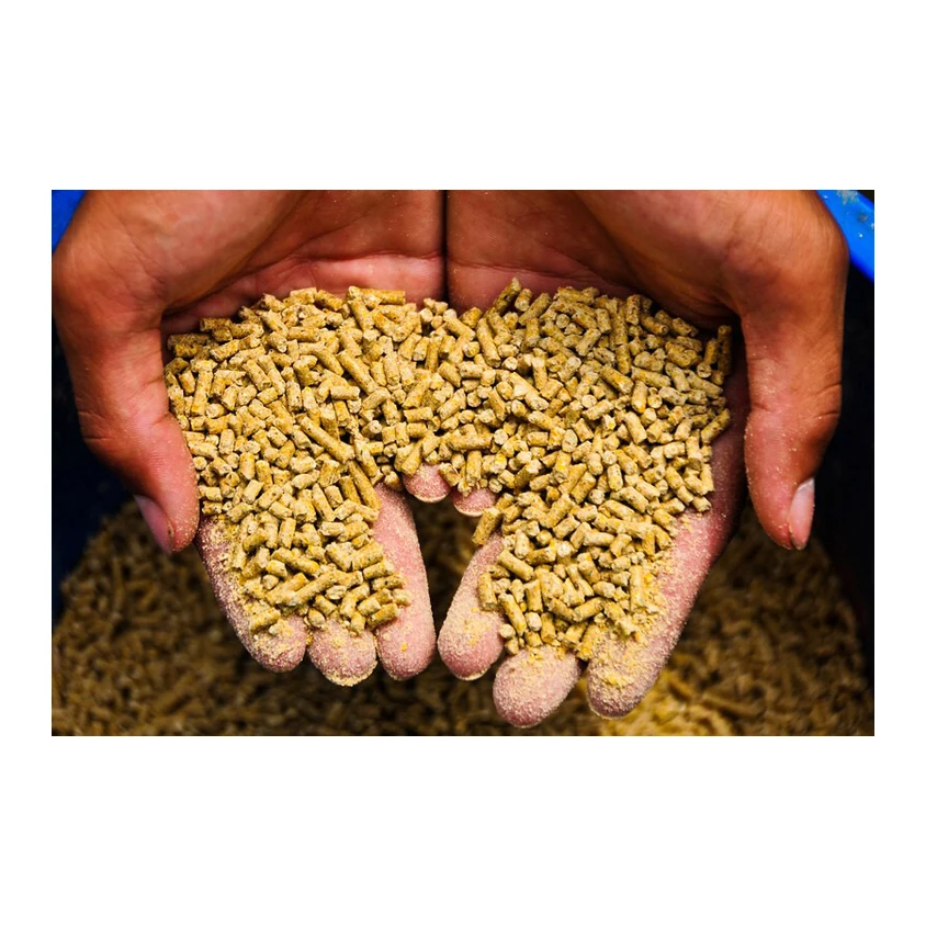 High Protein Concentrate Poultry Yeast Extract Powder for Pig Feed/Cattle Feeds