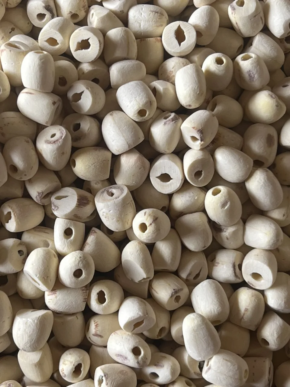 Premium Dried Lotus Seeds Perfect for Making Nutritious Soups and Desserts Ideal for Exporting