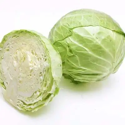 wholesale delicious exporting brands fresh organic cabbage.