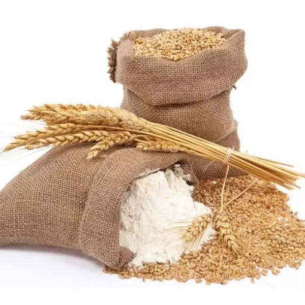 Hot Sales 100% Pure Wheat Semolina Flour Best Supplier 25kg 50 Kg Buckwheat Flour Halal Certified Farm-Fresh Corn Durum Bulk
