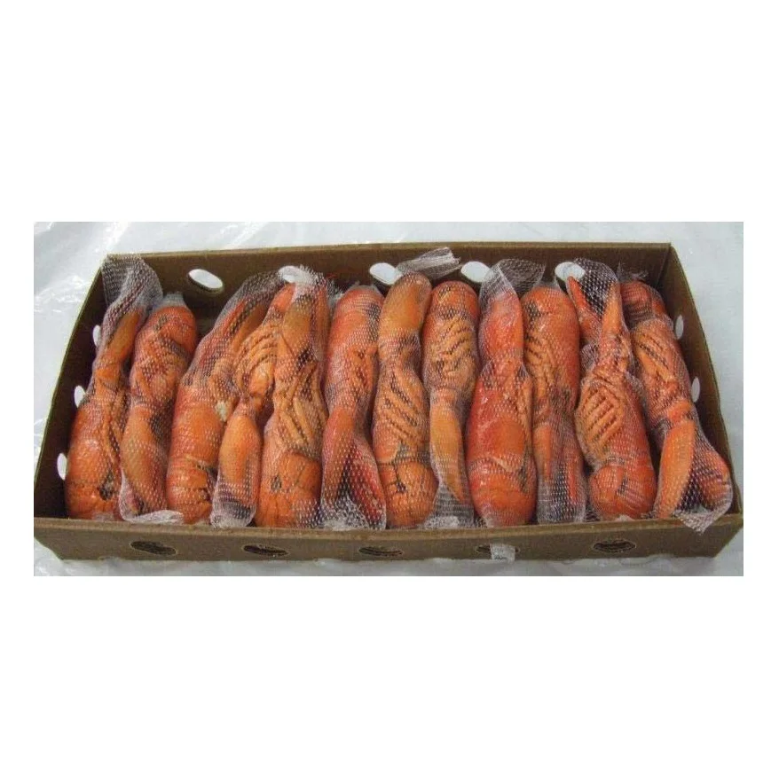 Frozen Rock Lobster Tail Whole Cooked Style Dried Fresh Live Lobster for Food Use