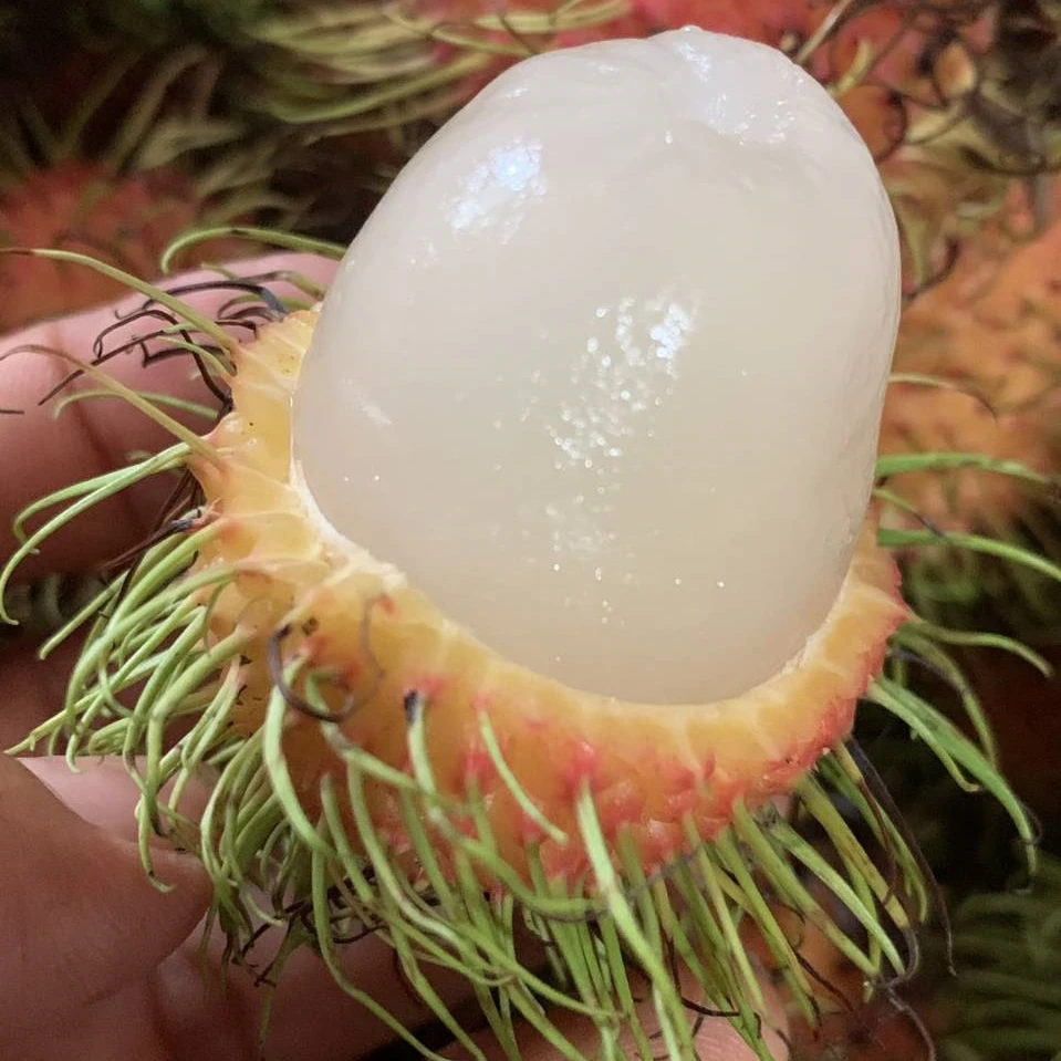 Rambutan Fruits Fresh Sweet Tasty 100% Natural Rambutan From from Thailand Farms Premium Quality Grade A