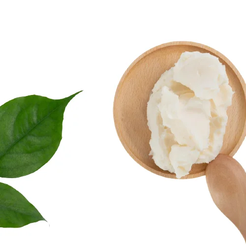 Оптовая продажа-говяжий жало по конкурентоспособной цене и высокому стандарту на экспорт из Вьетнама