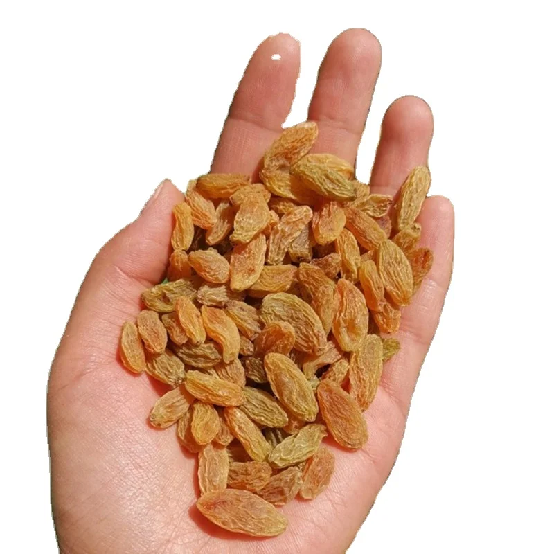 Golden Seedless Raisins From Pakistan All Natural Product Good Quality From Manufacturer Hot Sale Dried Fruits and Nuts