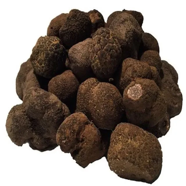 Discount Fresh black truffle hooked black truffle mushrooms