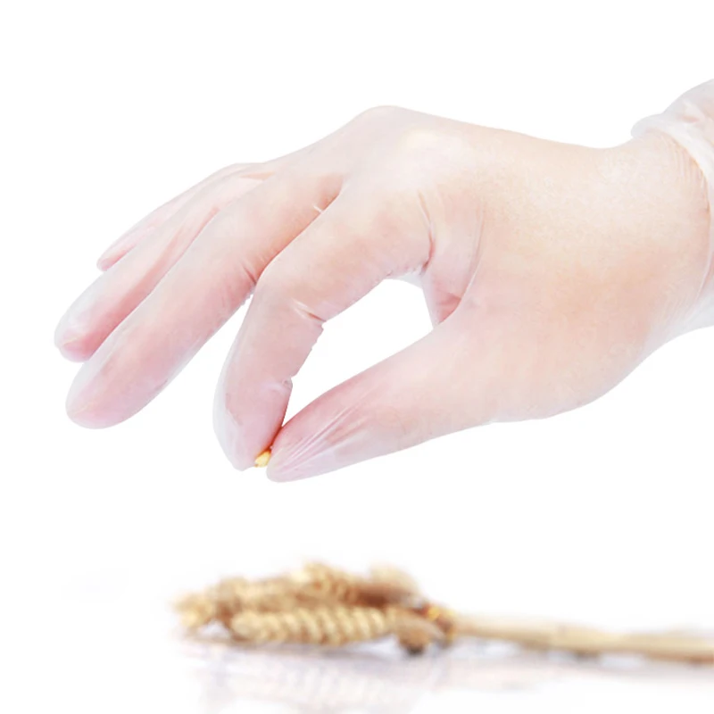 Kitchen Disposable Gloves Plastic Film Household Gloves Clean Hygienic Transparent Thickening Disposable Kitchenware